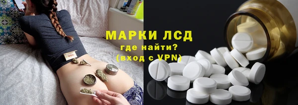 гидра Белокуриха