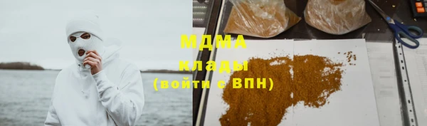 гидра Белокуриха