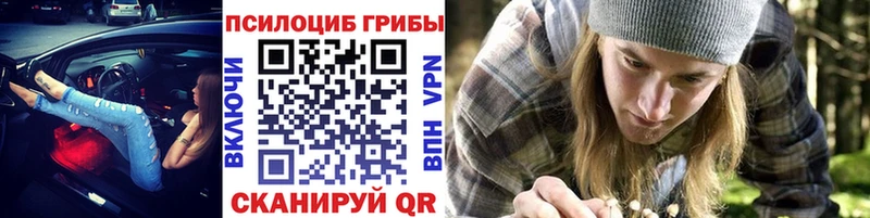 Купить закладки  Губкинский  Псилоцибиновые грибы мицелий 
